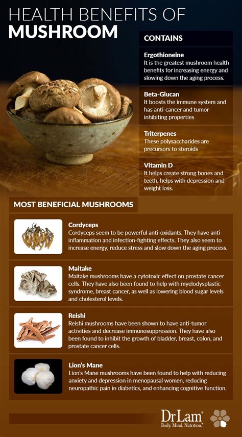 A Promising Way to Stay Healthy: Learn About Mushroom Health Benefits