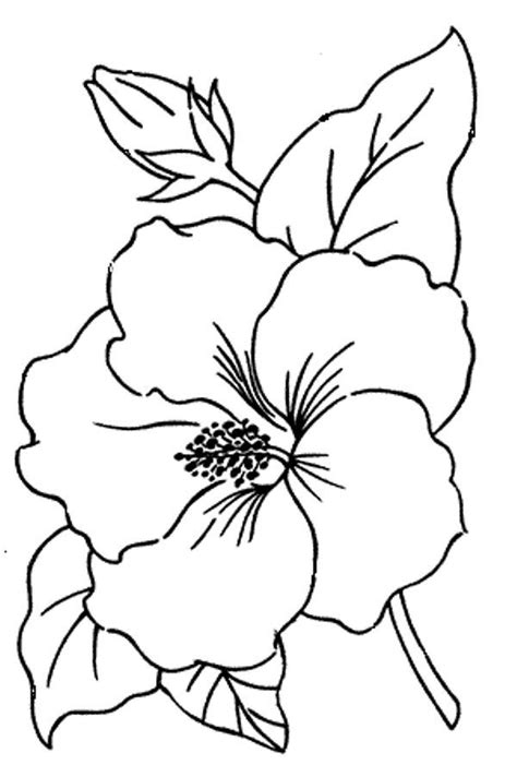 Bunga Raya Lukisan Kartun : How To Draw And Colouring Hibiscus Flower Gambar Bunga Kembang ...