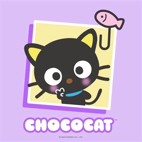 Meet Chococat in 2022 | Sanrio hello kitty, Hello kitty iphone ...