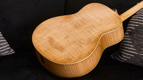 Guitar Tonewood Types | Taylor Guitars Blog