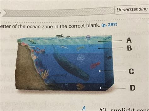 Abeka 4th grade Science: Understanding God's World Test 6 (quarter Exam ...