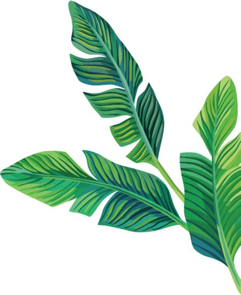 Aesthetic Leaf PNG Isolated File | PNG Mart