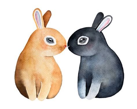 Bunnies Kissing Illustrations, Royalty-Free Vector Graphics & Clip Art - iStock