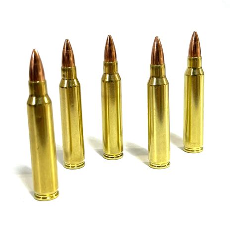 .223 Remington 5.56 Nato Dummy Rifle Real Once Fired Casings New Bullet – EmptyShotgunShells.com