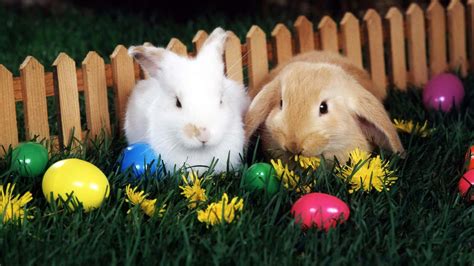 BREAKFAST WITH THE EASTER BUNNY AND EGG HUNT | B101.5 | All of Todays Best Music