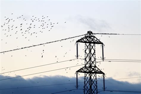 The Story of Electricity Pylons — Living Levels