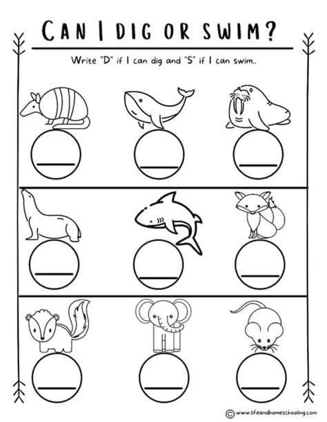 Free Preschool Science Worksheets - Worksheets Library