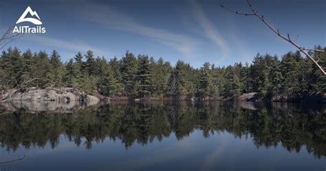 Best Trails in Wolf Lake State Forest - New York | AllTrails