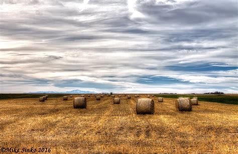 Landscape photography of farm fields with hay bale HD wallpaper ...