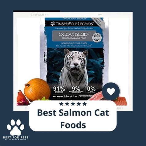 15 Best Salmon Cat Foods - BestForPets.org