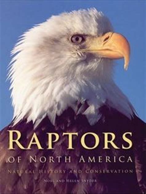 Review: Raptors of North America: Natural History and Conservation