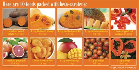 Vegetables high in beta carotene - Food Keg