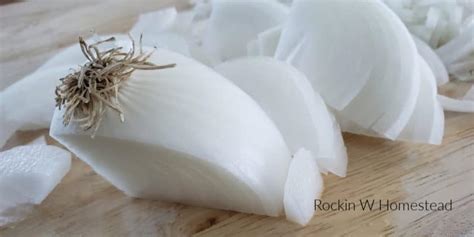 5 Ways to Preserve Onions | Rockin W Homestead