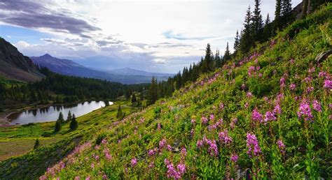 The Ultimate Guide to Hiking Telluride | The Discoverer