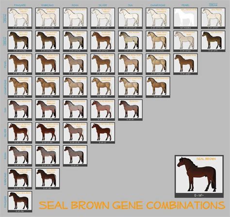 More Collections Like Chestnut Color Genetics Chart by ...