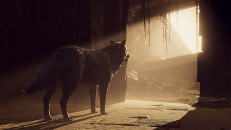 ArtStation - Desert Wolf