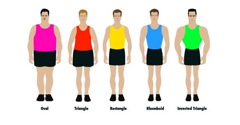 There are only five male body shapes, according to health experts ...