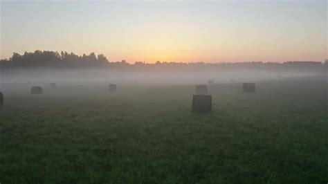 Field at Sunrise, Stock Footage | VideoHive