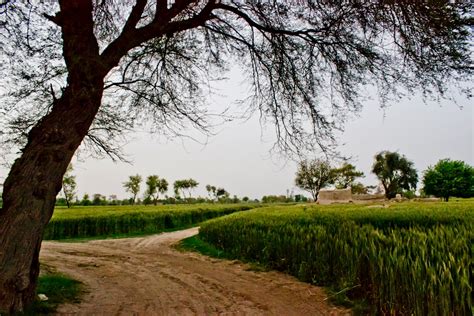 Moments of Tranquility: Folk Music & the Punjabi Culture that was