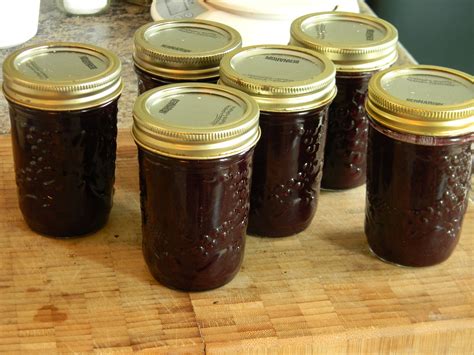 Concord Grape Jam Recipe - Food.com | Recipe | Grape jam, Freezer jam ...