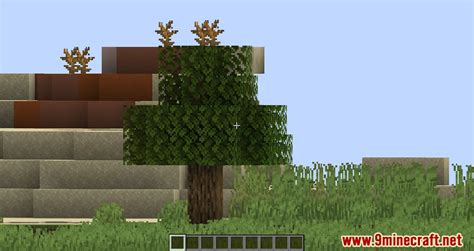 WI Zoom Mod (1.21.3, 1.20.1) - Looking at the World - 9Minecraft.Net