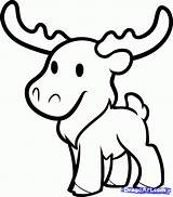 Moose Pictures To Color  Coloring Home sketch template