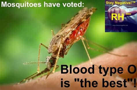 Which Blood Types do Mosquitoes Prefer? – Rhesus Negative