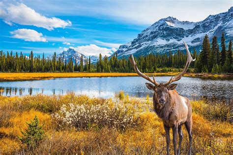 Pure nature and cities of Canada for your audiovisual project | 5 ...