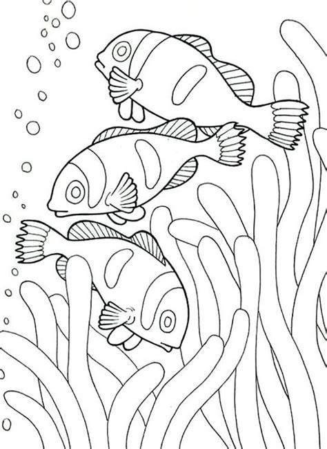 Creatures Great and Small sea prints to color - Recherche Google | Animal coloring pages, Fish ...