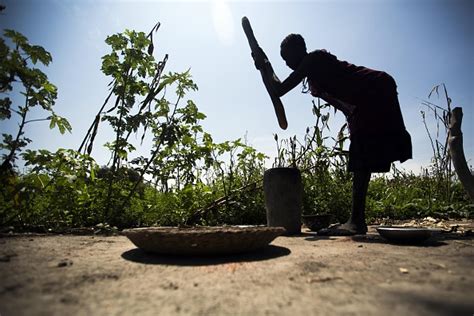 239 million hungry: New UN numbers show scale of African malnutrition - CGTN Africa