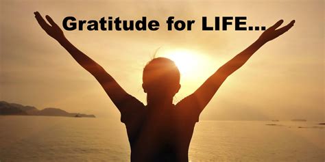 Gratitude for LIFE... - The Light Gap