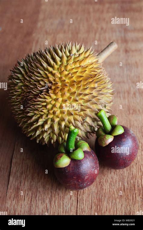 Durian and Purple Mangosteen. King and Queen of fruits Stock Photo - Alamy