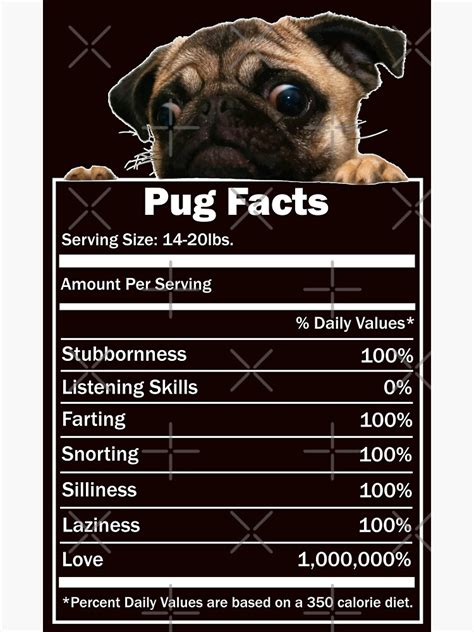 "Pug Facts" Sticker for Sale by darklordpug | Redbubble