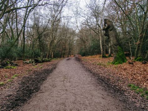 Epping Forest Walks: A Guide To The Forest's Best Trails