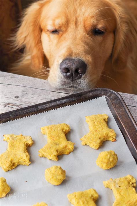 Dog Treats Recipe for Dogs with Allergies (Grain Free) - Home & Plate