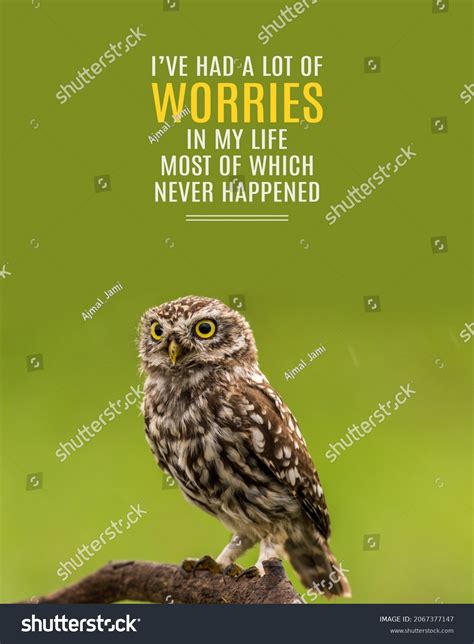 116 Owl Quotes Stock Photos, Images & Photography | Shutterstock