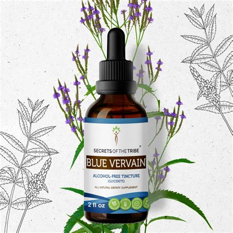 Blue Vervain Tincture Alcohol-FREE Extract, Organic Blue Vervain (Verbena Hastata) Dried Herb 2 ...