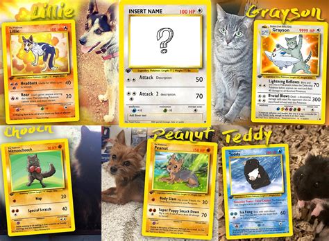 Your Pet as a Pokemon Card - Etsy