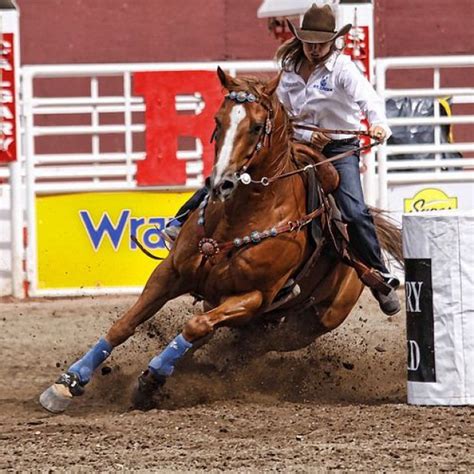 barrel racing quarter horse - I remember when I used to do that; it was so much fun! # ...