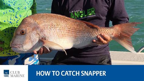 How to catch snapper - fishing tip with Paul Worsteling | Club Marine - YouTube