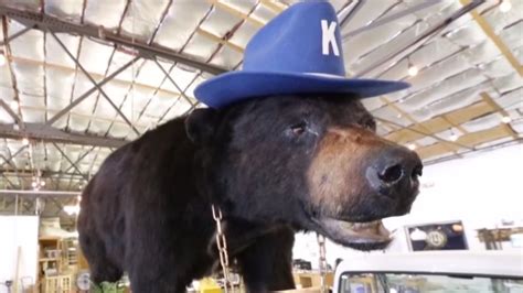 The Incredible Story Of Kentucky's Cocaine Bear