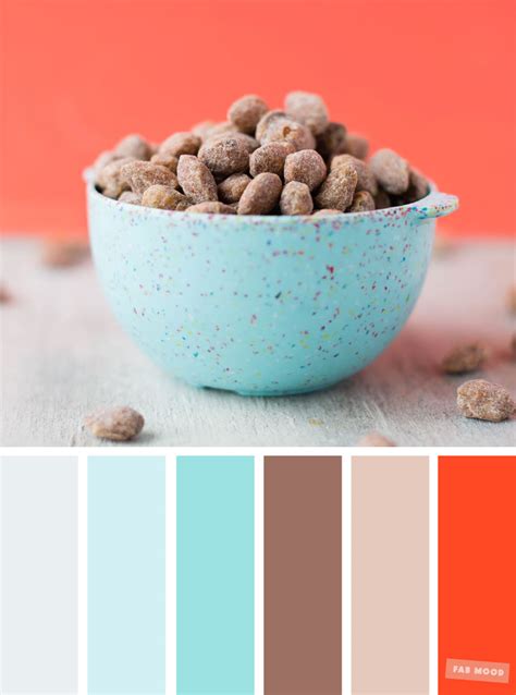 Color Inspiration : Cocoa + light blue + turquoise & Coral