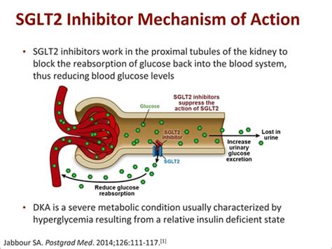 SGLT2 Inhibitors and Diabetic Ketoacidosis: What's All the Fuss About? (Transcript)