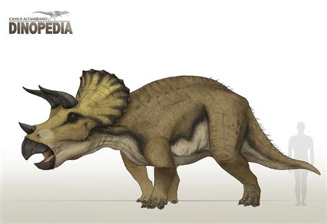 Triceratops horridus by CamusAltamirano on DeviantArt