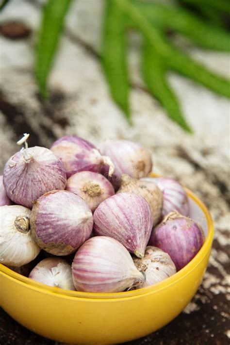 Organic garlic stock photo. Image of harvest, texture - 27955414