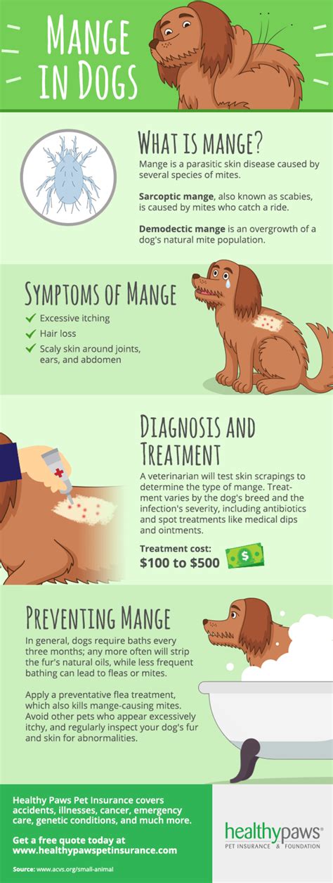 Learn How To Treat Mange in Dogs | Dog mange, Vet medicine ...