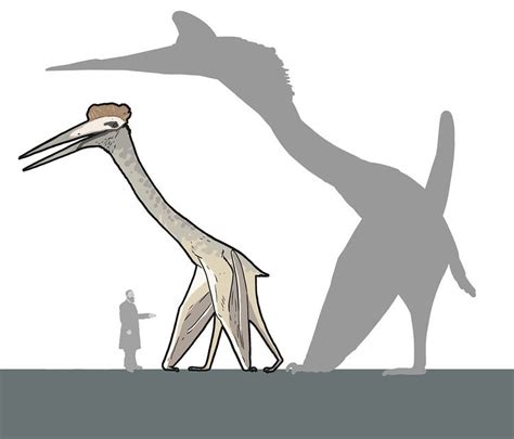 Jurassic world vs science: Quetzalcoatlus | Jurassic Park | Know Your Meme