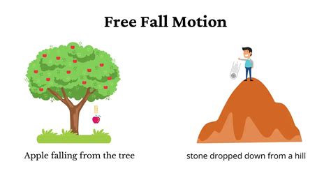 Free Fall And Projectile Motion Poster Flinn Scientific ...