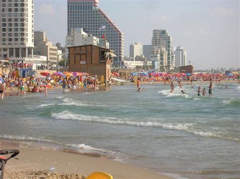 Tel Aviv Promenade and Beaches - Israel by Locals