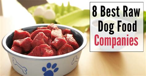 8 Best Raw Dog Food Companies - Dog Endorsed